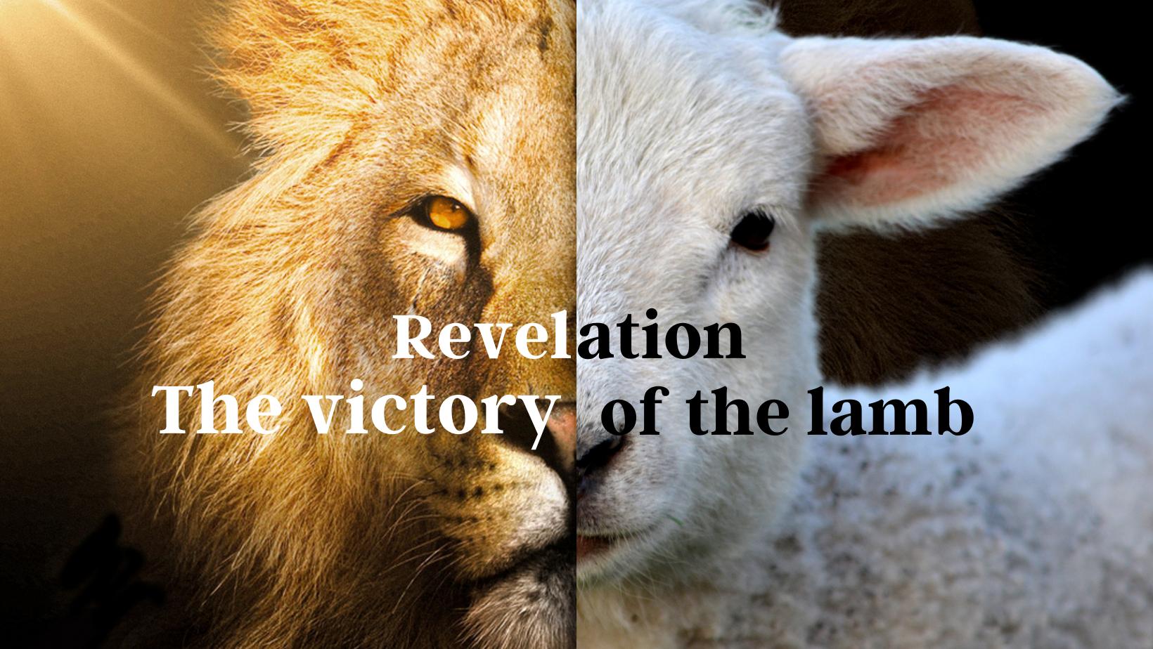 The victory of the lamb